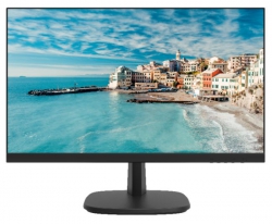 DS-D5024FN/EU - 23,8 " FHD Monitor