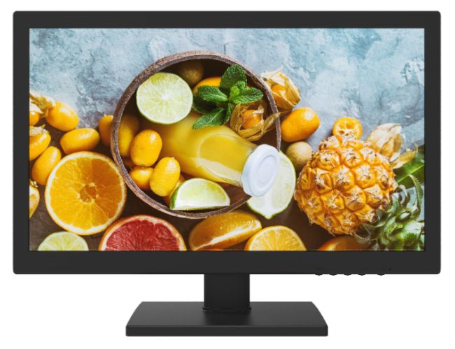 DS-D5019QE-B(EU) - 19" monitor