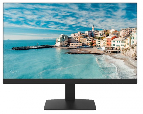 DS-D5022FN-C - 21,5" FHD monitor