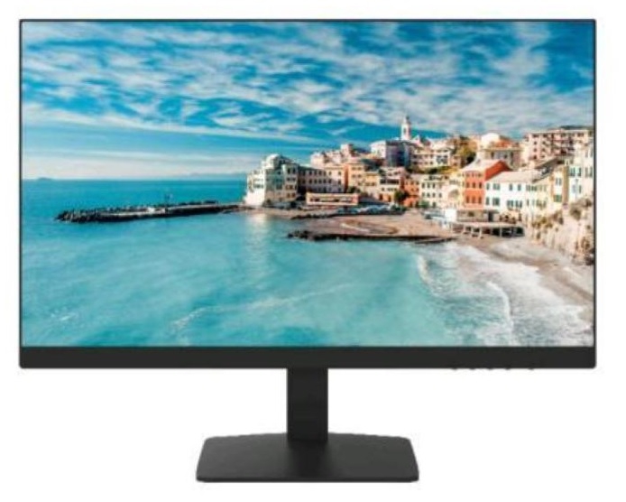 Hikvision DS-D5027FN01 FHD Monitor